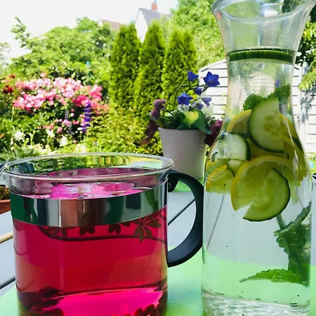 Plan B. Виттлих