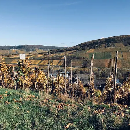 Дом отдыха Plan B. *