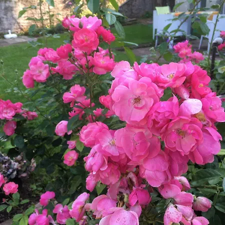 Plan B. Дом отдыха *