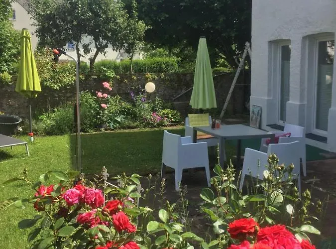 Plan B. * וויטליך