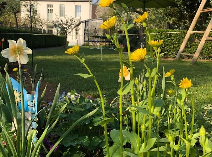 בית נופש Plan B. *