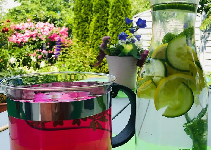 Plan B. וויטליך