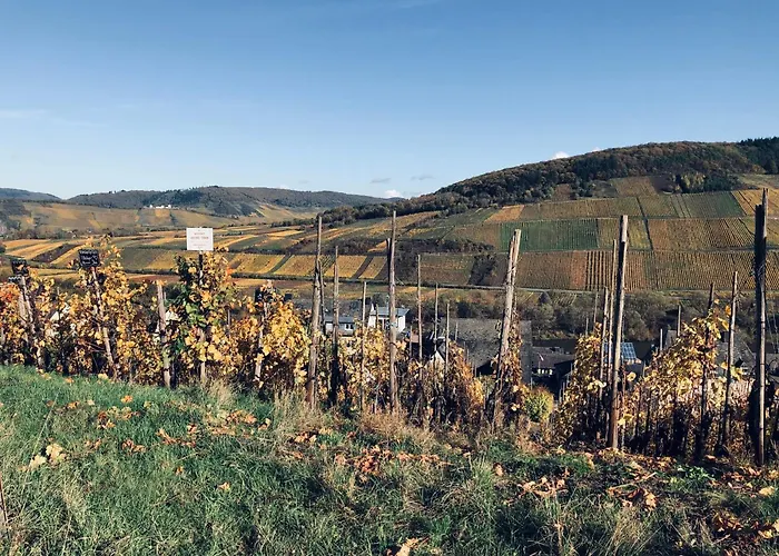 בית נופש Plan B. *